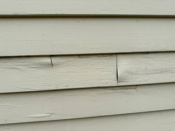 Affordable Siding Repair and Maintenance Services in Hurstbourne, KY